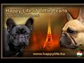 http://www.happylife.hu ismertető oldala
